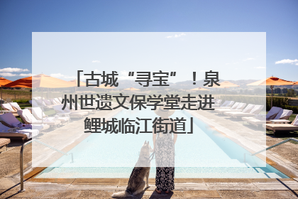 古城“寻宝”！泉州世遗文保学堂走进鲤城临江街道