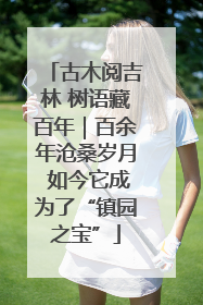 古木阅吉林 树语藏百年｜百余年沧桑岁月 如今它成为了“镇园之宝”