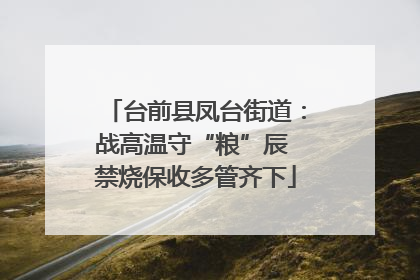 台前县凤台街道：战高温守“粮”辰 禁烧保收多管齐下