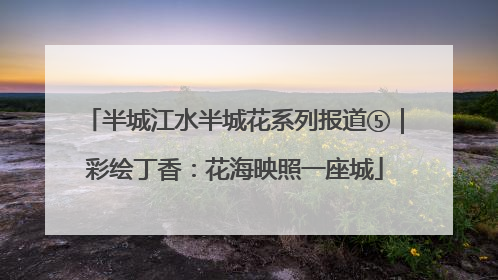 半城江水半城花系列报道⑤｜彩绘丁香：花海映照一座城