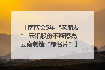 南博会5年“老朋友” 云铝股份不断擦亮云南制造“绿名片”