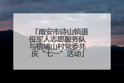南安市诗山镇退役军人志愿服务队与梧埔山村党委共庆“七一”活动