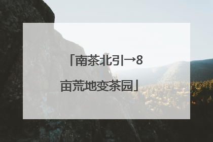 南茶北引→8亩荒地变茶园
