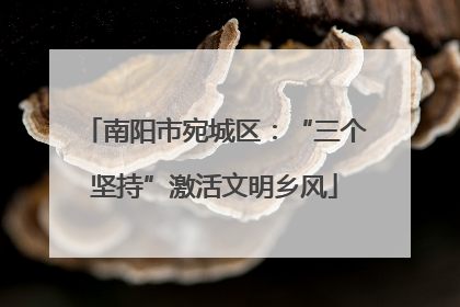 南阳市宛城区：“三个坚持”激活文明乡风
