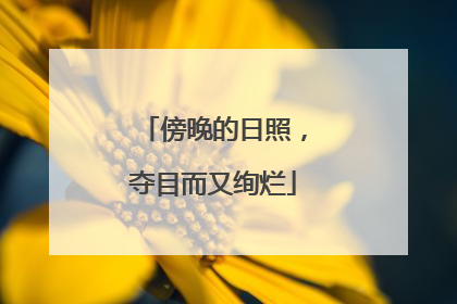 傍晚的日照，夺目而又绚烂