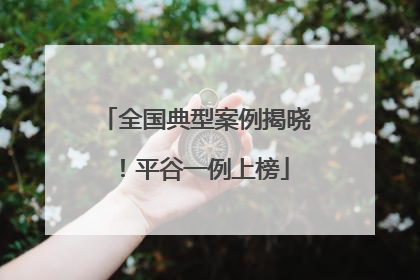 全国典型案例揭晓！平谷一例上榜