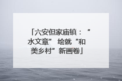 六安但家庙镇：“水文章” 绘就“和美乡村”新画卷