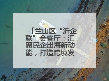 兰山区“沂企联”会客厅：汇聚民企出海新动能，打造跨境发展“强磁场”