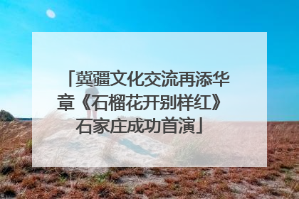 冀疆文化交流再添华章《石榴花开别样红》石家庄成功首演