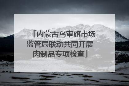 内蒙古乌审旗市场监管局联动共同开展肉制品专项检查