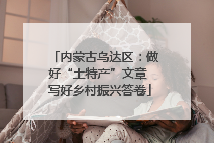 内蒙古乌达区：做好“土特产”文章 写好乡村振兴答卷