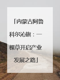 内蒙古阿鲁科尔沁旗：一棵草开启产业发展之路