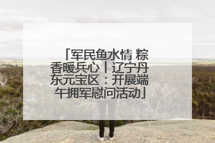 军民鱼水情 粽香暖兵心丨辽宁丹东元宝区：开展端午拥军慰问活动