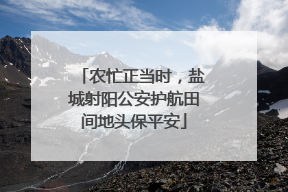 农忙正当时，盐城射阳公安护航田间地头保平安