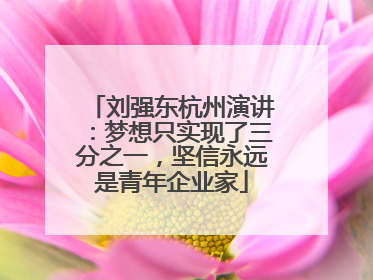 刘强东杭州演讲：梦想只实现了三分之一，坚信永远是青年企业家