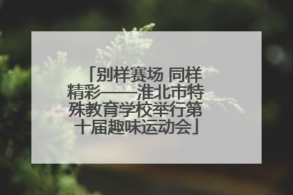 别样赛场 同样精彩——淮北市特殊教育学校举行第十届趣味运动会