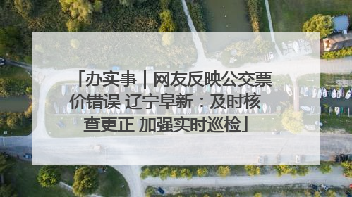 办实事｜网友反映公交票价错误 辽宁阜新：及时核查更正 加强实时巡检