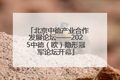 北京中德产业合作发展论坛——2025中德（欧）隐形冠军论坛开幕