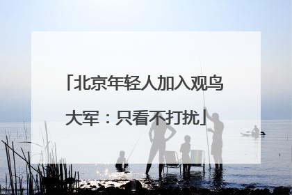 北京年轻人加入观鸟大军：只看不打扰