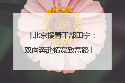 北京援青干部田宁：双向奔赴拓宽致富路