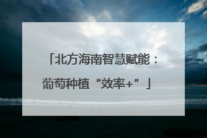 北方海南智慧赋能：葡萄种植“效率+”