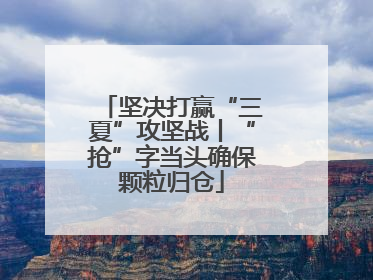 坚决打赢“三夏”攻坚战丨“抢”字当头确保颗粒归仓