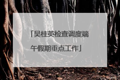 吴桂英检查调度端午假期重点工作
