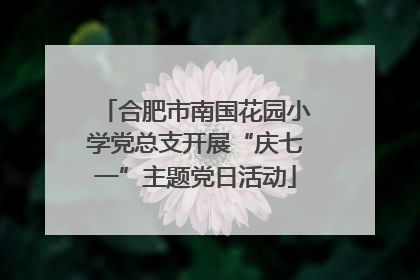 合肥市南国花园小学党总支开展“庆七一”主题党日活动