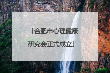 合肥市心理健康研究会正式成立