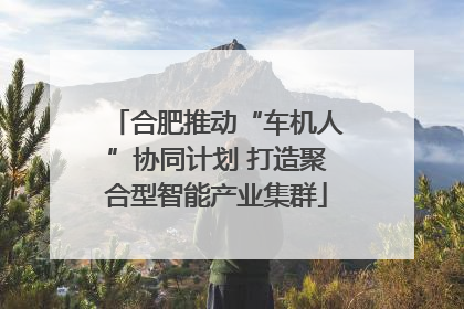 合肥推动“车机人”协同计划 打造聚合型智能产业集群