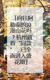 向往阿勒泰的浪漫山花吗？杭州藏着“同款”，已全面进入盛花期