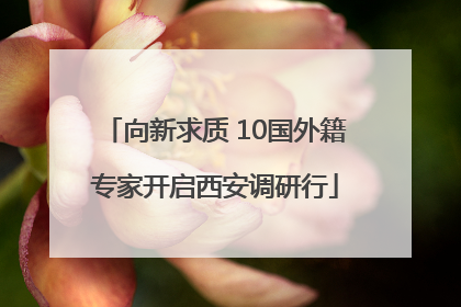向新求质 10国外籍专家开启西安调研行