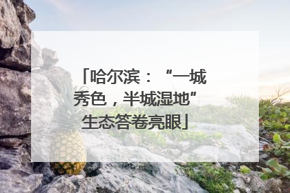 哈尔滨：“一城秀色，半城湿地”生态答卷亮眼