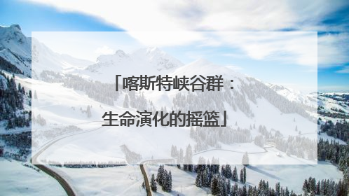 喀斯特峡谷群：生命演化的摇篮