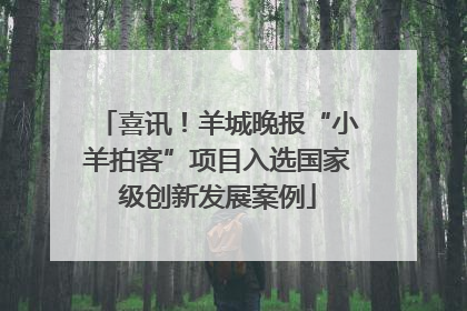 喜讯！羊城晚报“小羊拍客”项目入选国家级创新发展案例