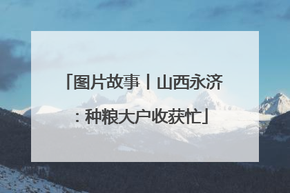 图片故事丨山西永济：种粮大户收获忙