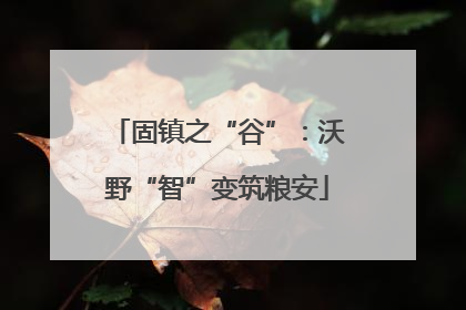固镇之“谷”：沃野“智”变筑粮安