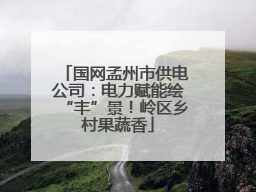 国网孟州市供电公司：电力赋能绘“丰”景！岭区乡村果蔬香