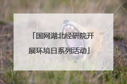 国网湖北经研院开展环境日系列活动
