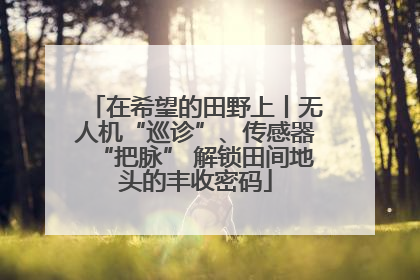 在希望的田野上丨无人机“巡诊”、传感器“把脉” 解锁田间地头的丰收密码