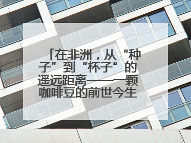 在非洲，从“种子”到“杯子”的遥远距离——一颗咖啡豆的前世今生（三）