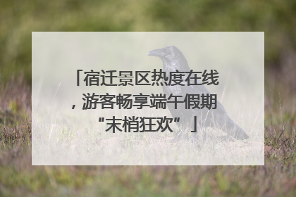宿迁景区热度在线，游客畅享端午假期“末梢狂欢”