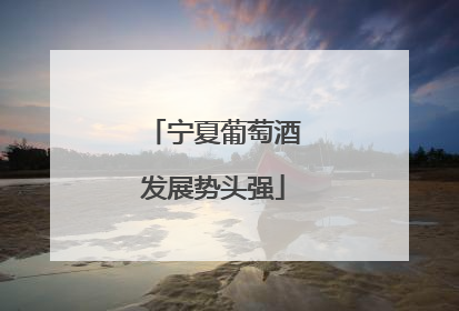 宁夏葡萄酒发展势头强