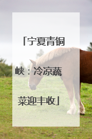 宁夏青铜峡：冷凉蔬菜迎丰收
