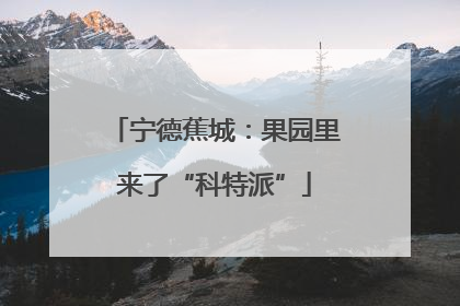 宁德蕉城：果园里来了“科特派”