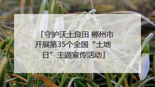 守护沃土良田 郴州市开展第35个全国“土地日”主题宣传活动
