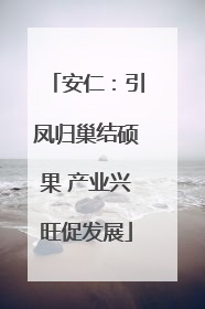 安仁：引凤归巢结硕果 产业兴旺促发展