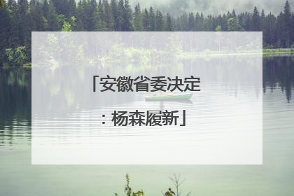 安徽省委决定：杨森履新