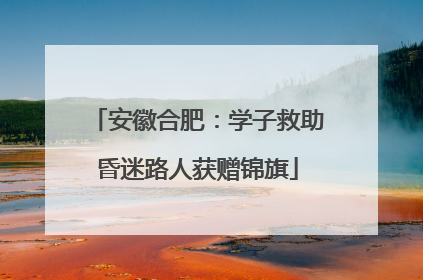 安徽合肥:学子救助昏迷路人获赠锦旗