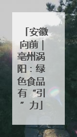 安徽向前｜亳州涡阳：绿色食品有“引”力